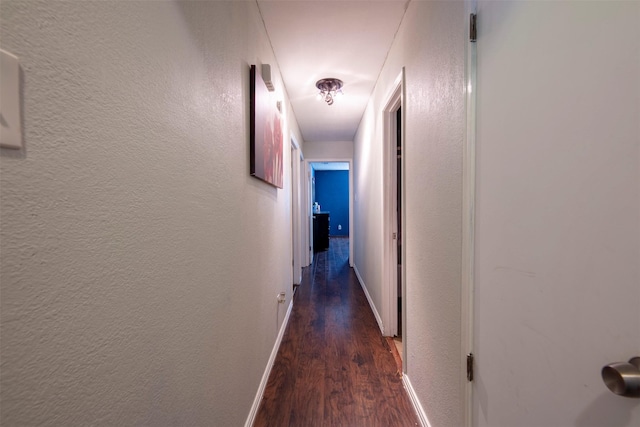 corridor with dark wood-type flooring