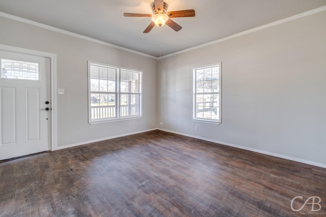 foyer featuring ceiling fan, dark hardwood / wood-style floors, and crown molding