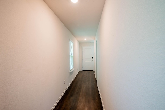 corridor featuring dark wood-type flooring