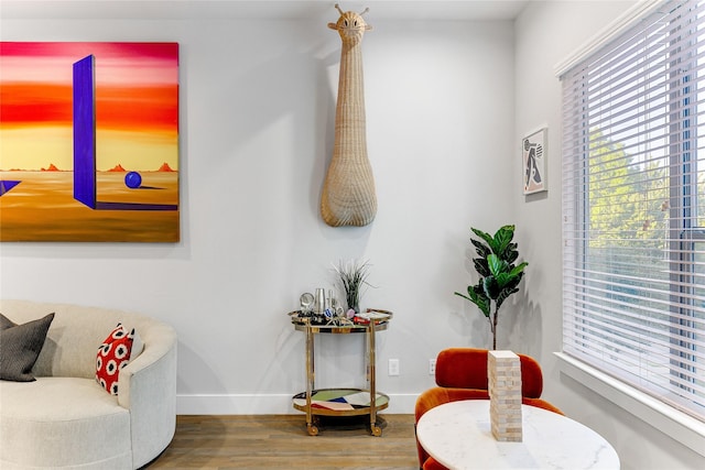 sitting room with hardwood / wood-style flooring