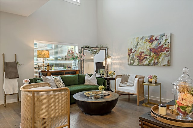 living room with wood-type flooring and a high ceiling