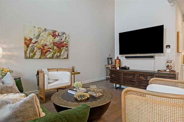 living room with wood-type flooring