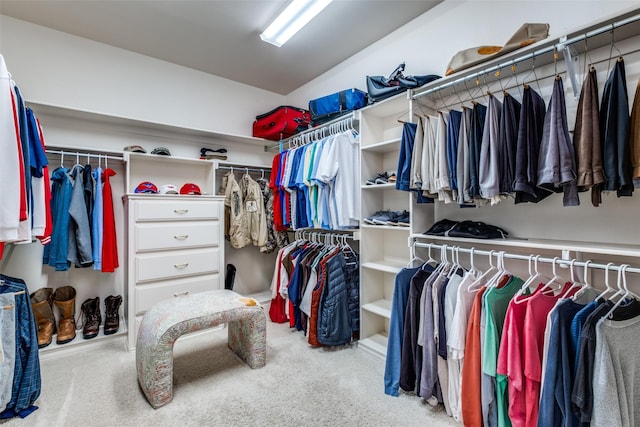 spacious closet with light carpet