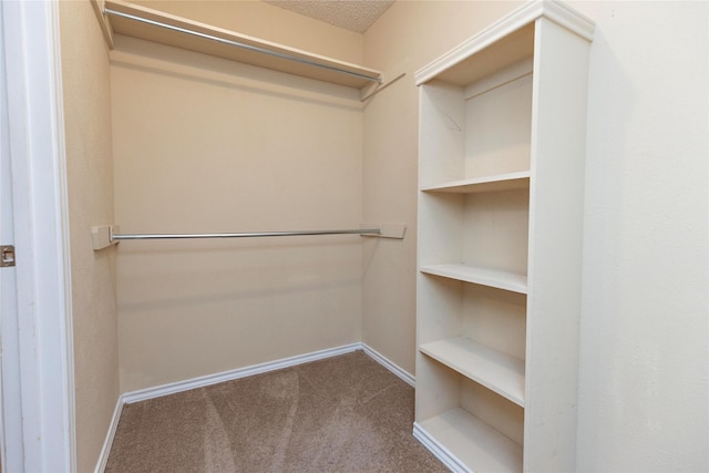 spacious closet featuring carpet