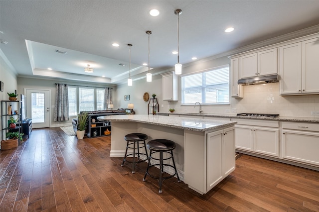 kitchen with decorative light fixtures, sink, white cabinets, a center island, and a raised ceiling