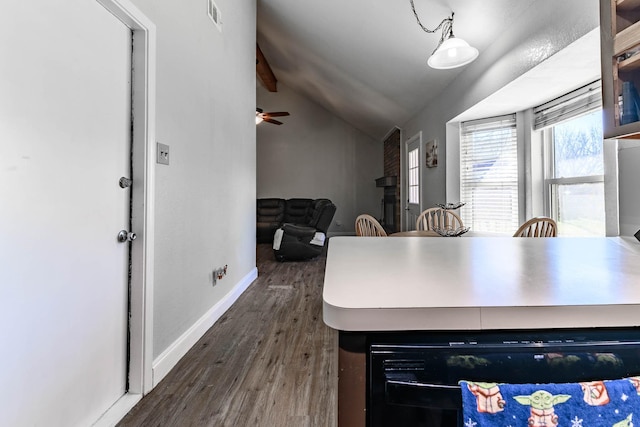 kitchen with vaulted ceiling and dark hardwood / wood-style floors