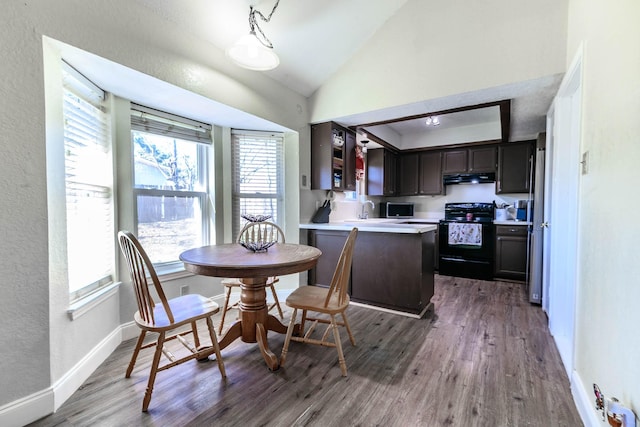 dining room featuring vaulted ceiling, sink, and hardwood / wood-style floors