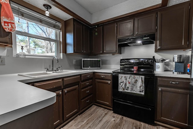 kitchen featuring dark brown cabinetry, black range with electric stovetop, light hardwood / wood-style floors, and sink