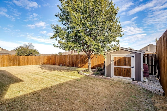 view of yard featuring a shed