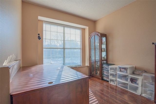 office featuring a textured ceiling and dark hardwood / wood-style flooring