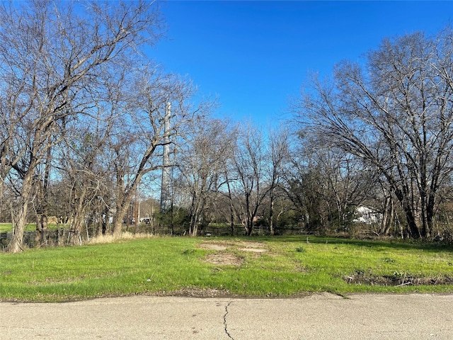 250 W Marshall St, Cooper TX, 75432 land for sale