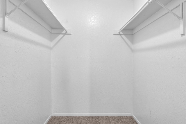 spacious closet featuring carpet floors