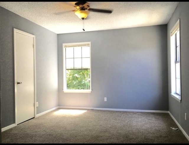 empty room featuring ceiling fan, plenty of natural light, carpet floors, and a textured ceiling