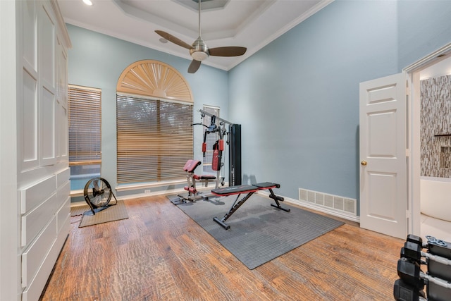 exercise room with a tray ceiling, ceiling fan, light hardwood / wood-style floors, and ornamental molding