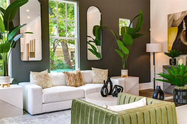 living room featuring hardwood / wood-style flooring