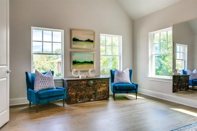 living area featuring vaulted ceiling and hardwood / wood-style flooring