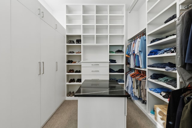 spacious closet with carpet flooring