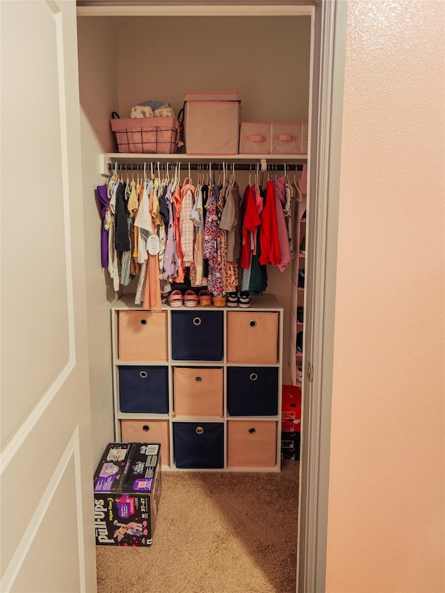 view of closet