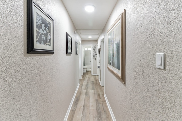 corridor featuring light wood-type flooring