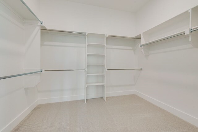 walk in closet featuring light colored carpet