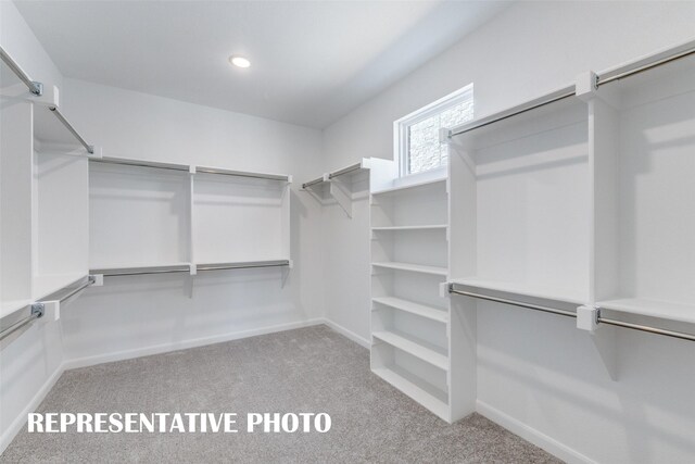 walk in closet featuring light carpet