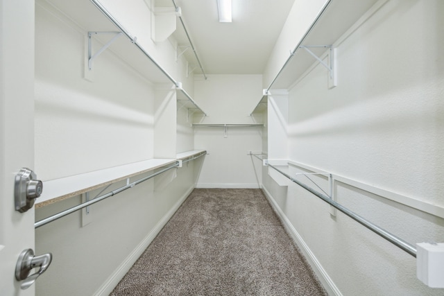 walk in closet with light colored carpet