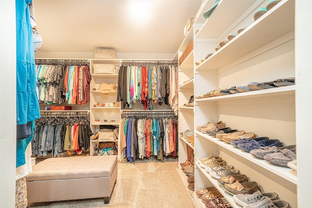 walk in closet with light colored carpet