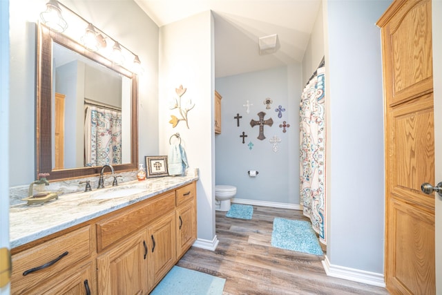 bathroom with vanity, wood-type flooring, and toilet