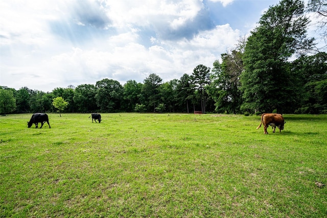 view of yard featuring a rural view