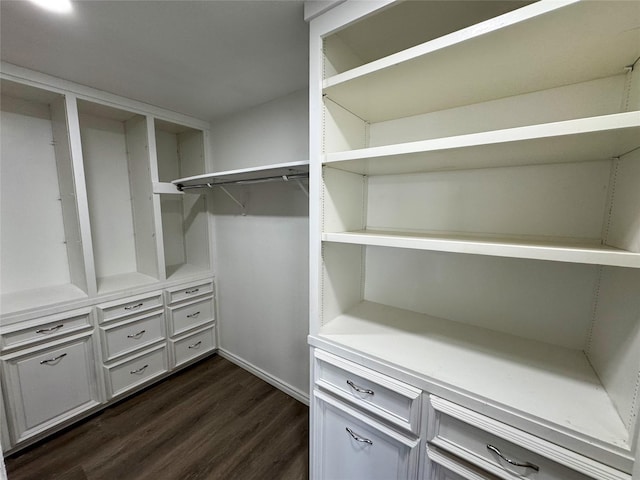 spacious closet with dark hardwood / wood-style flooring