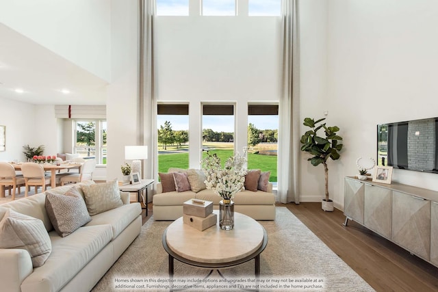 living room with hardwood / wood-style floors