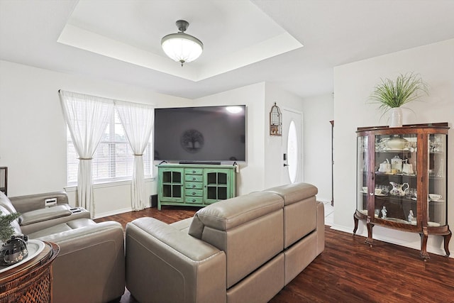 living room with dark hardwood / wood-style flooring and a raised ceiling