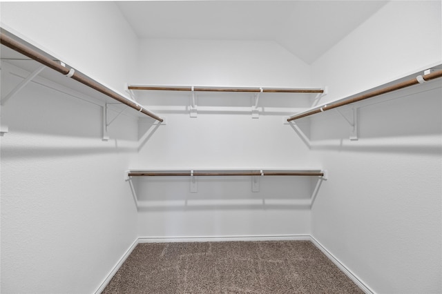 walk in closet featuring carpet floors and vaulted ceiling