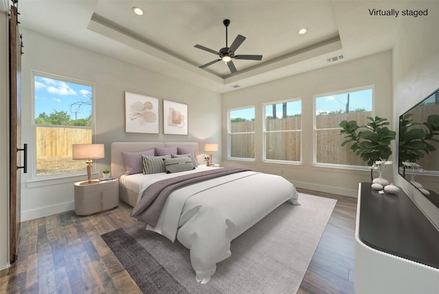 bedroom featuring multiple windows, dark wood-type flooring, and a tray ceiling