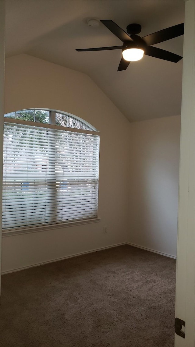 unfurnished room featuring dark colored carpet, ceiling fan, a healthy amount of sunlight, and lofted ceiling