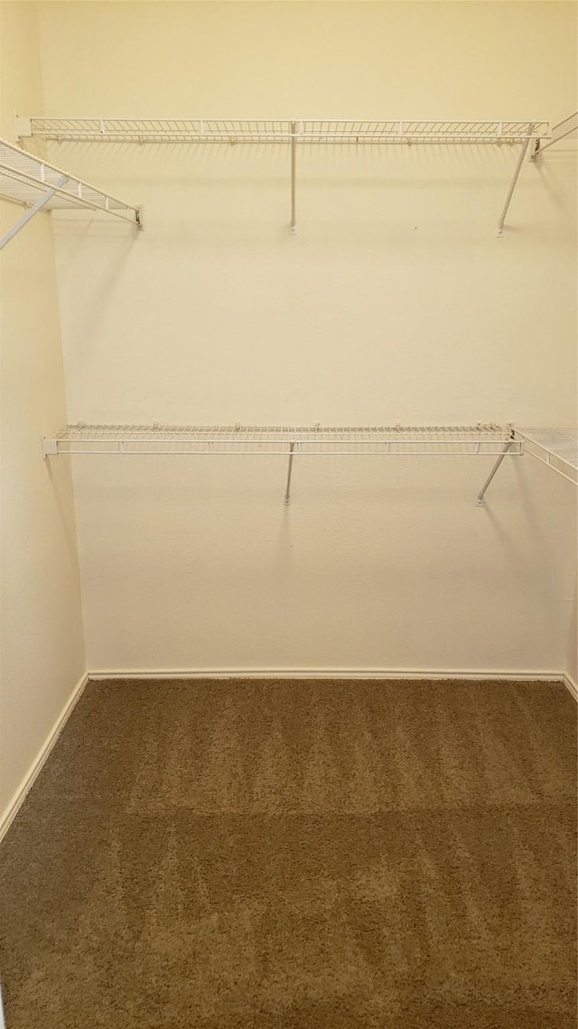 walk in closet featuring dark colored carpet