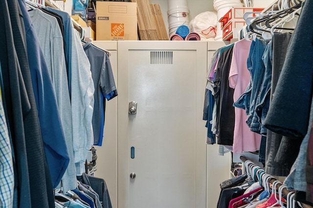 view of spacious closet