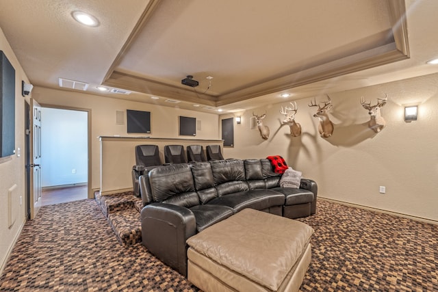 home theater room with carpet flooring and a tray ceiling