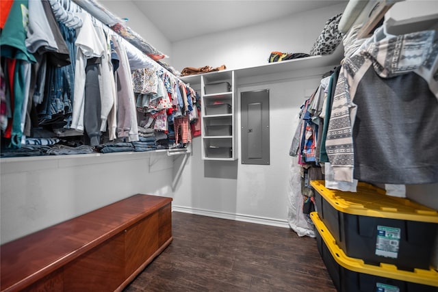 walk in closet with electric panel and dark hardwood / wood-style flooring