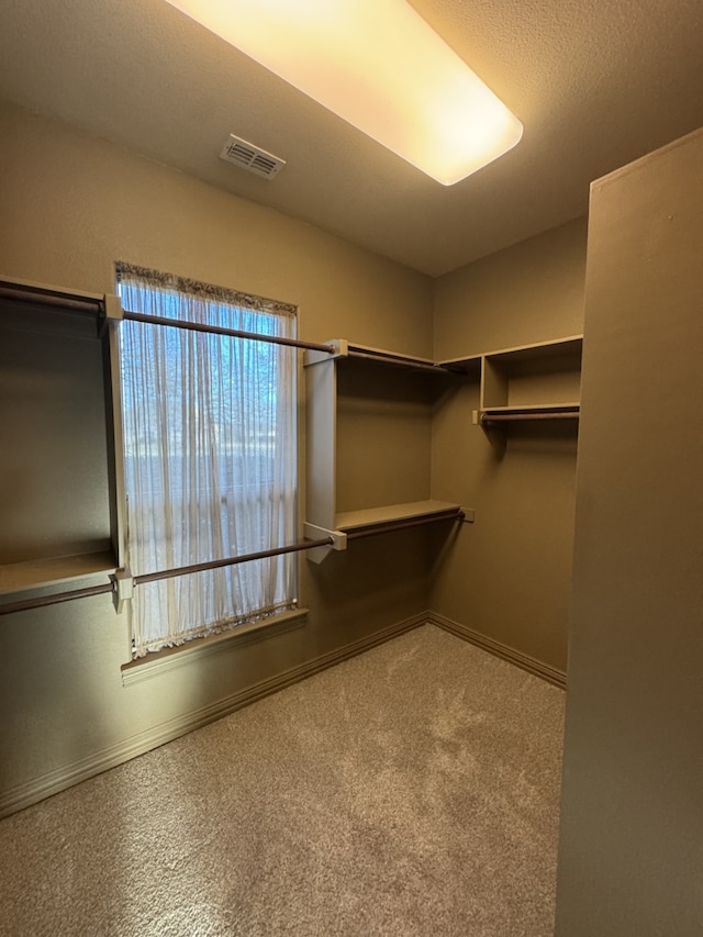 spacious closet with light carpet