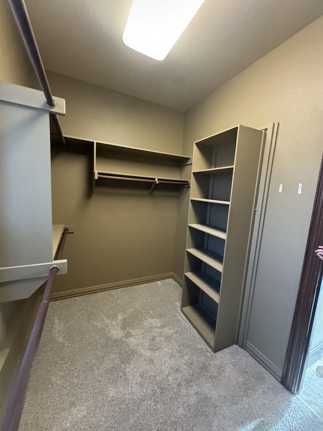 walk in closet with light colored carpet