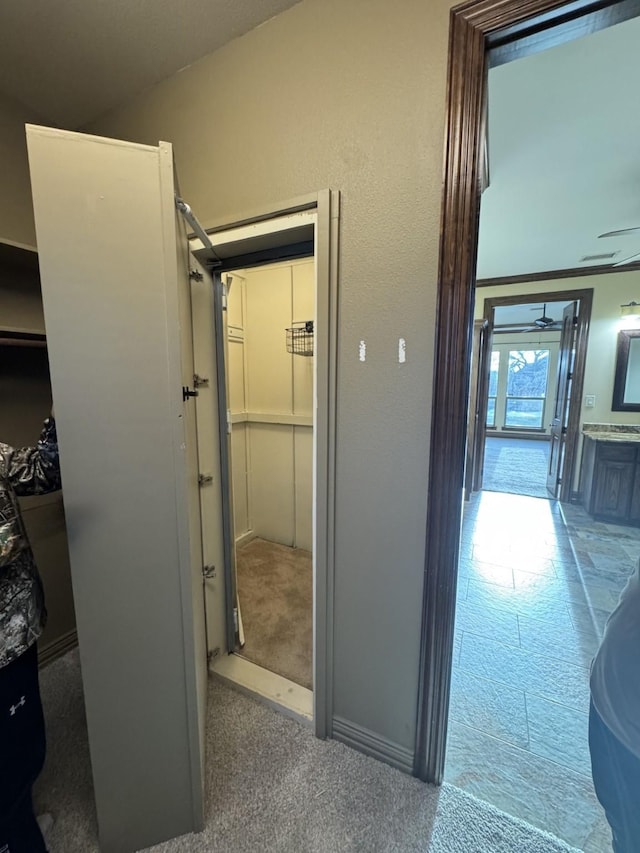 hallway featuring carpet floors