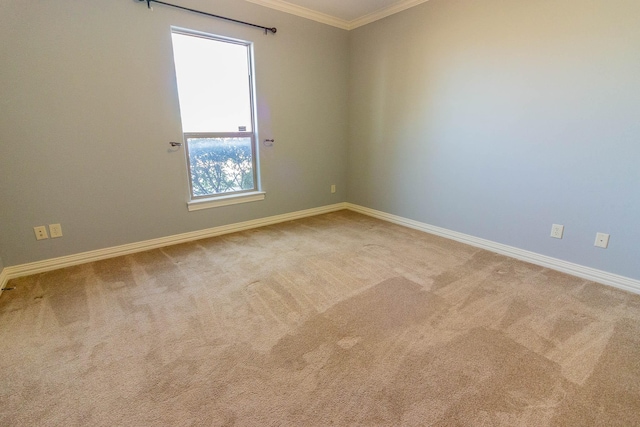 carpeted spare room with baseboards and crown molding