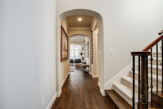 hallway with crown molding and dark hardwood / wood-style flooring