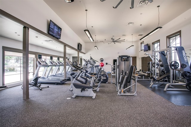 exercise room with ceiling fan and a wealth of natural light