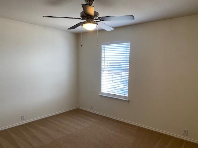 carpeted spare room with ceiling fan and a healthy amount of sunlight