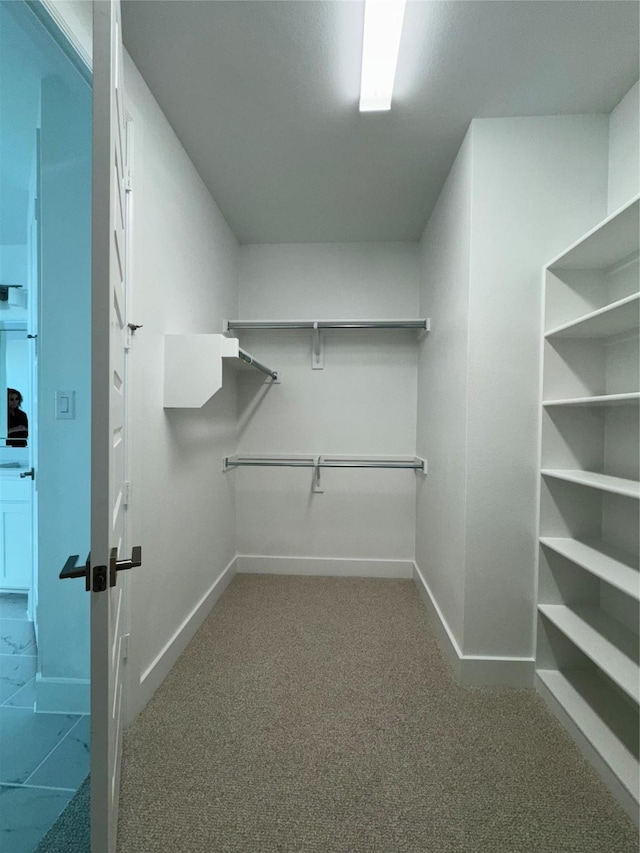 spacious closet featuring carpet floors