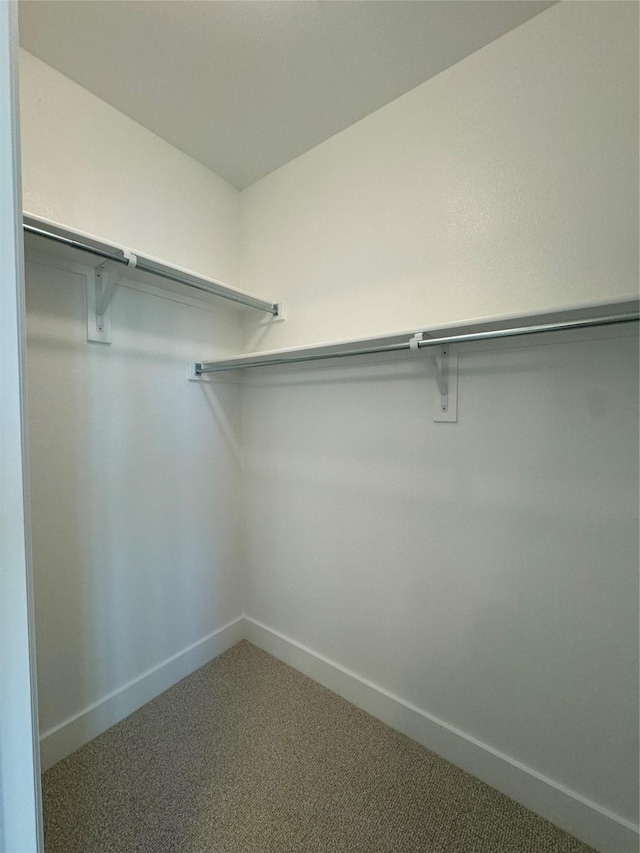 spacious closet with carpet floors