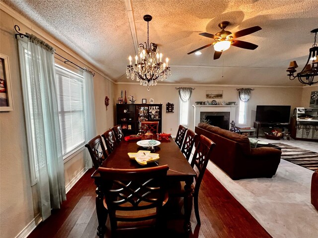 1030 Laurel Ln, Paris, TX 75460 - dining room featuring dark wood-style flooring, a fireplace, a textured ceiling, and a wealth of natural light