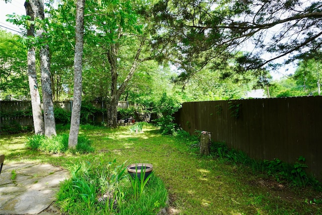 1030 Laurel Ln, Paris, TX 75460 - view of yard featuring a fenced backyard